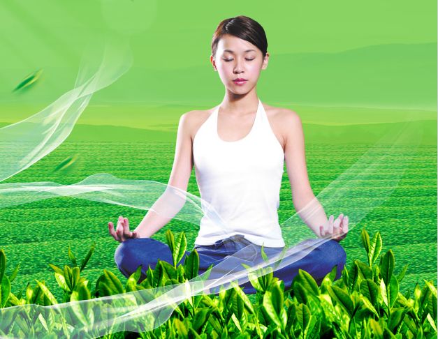 布鲁姆办理假文凭